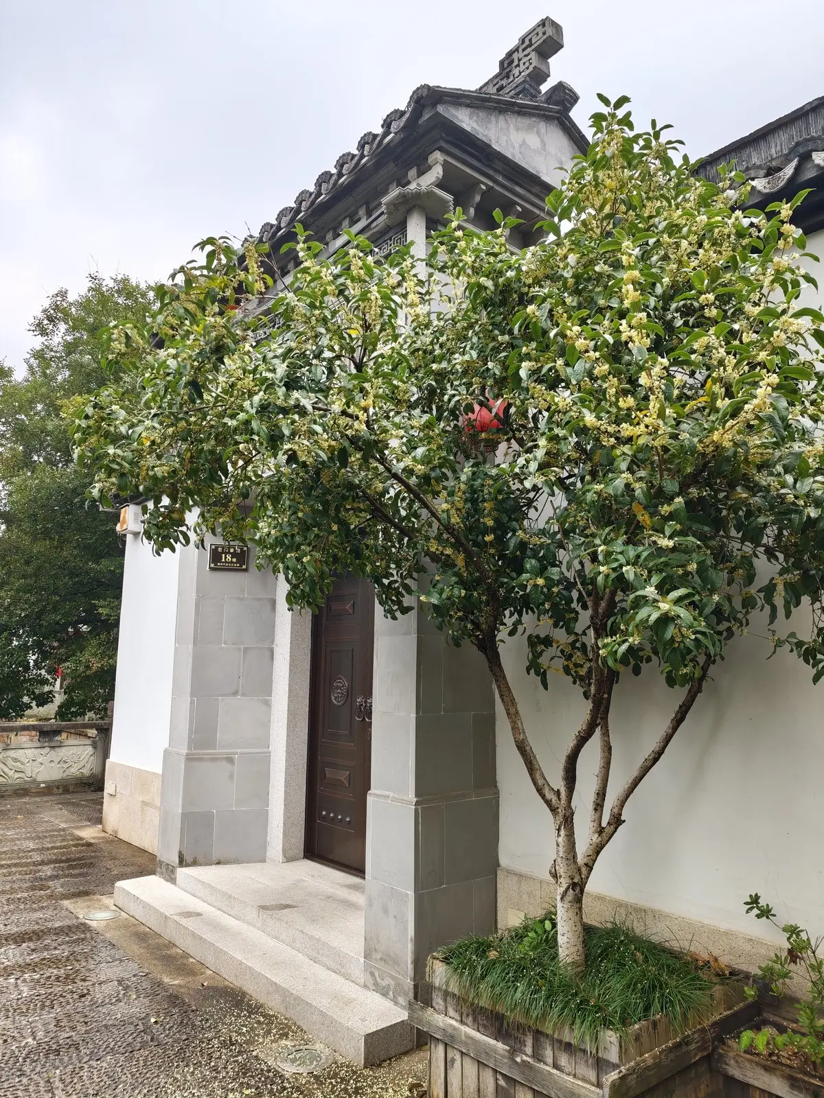 赵孟頫别业莲花庄内的曲桥清池与江南园林意境